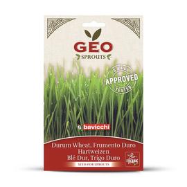 Naturtanya bavicchi bio durumbúza csíráztatáshoz 80 g