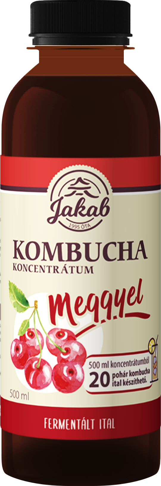 Kombucha tea koncentrátum meggyel 500 ml
